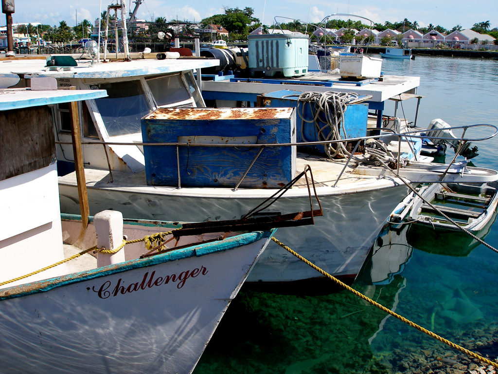 Aged fishing boats at Potter's Cay, Nassau, Bahamas.

(c)A. Derek Catalano - Olympus SP-350
#NativeStewImages #Bahamas #fishing #fishingboats #boats #cay #dock #PottersCay