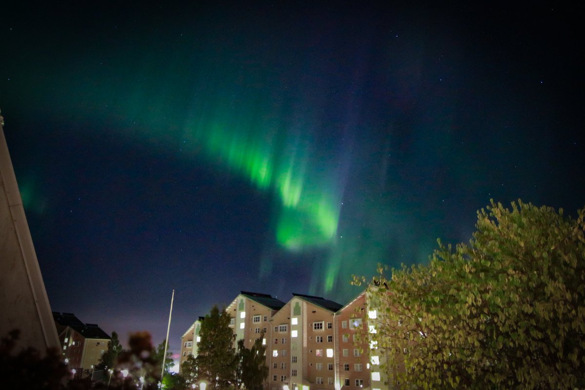 DaisyMirollin tweet media