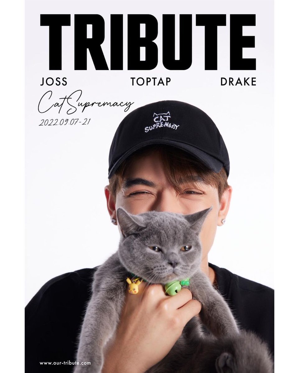 DreamBL_PT's tweet photo. Estou muito ansiosa e curiosa para ver o que vai ser este projecto. Parece super interessante esta parceria por uma causa tão nobre como proteger gatos vadios e dar-lhes condições e cuidados necessários! 

#josswayar 
#toptap_jirakit 
#drakelaedeke
 #ContributeWithTribute https://t.co/jg2cIoR1a4
