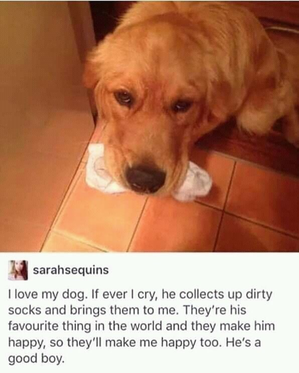 WholesomeMeme's tweet photo. https://t.co/FbxxZT3TaL