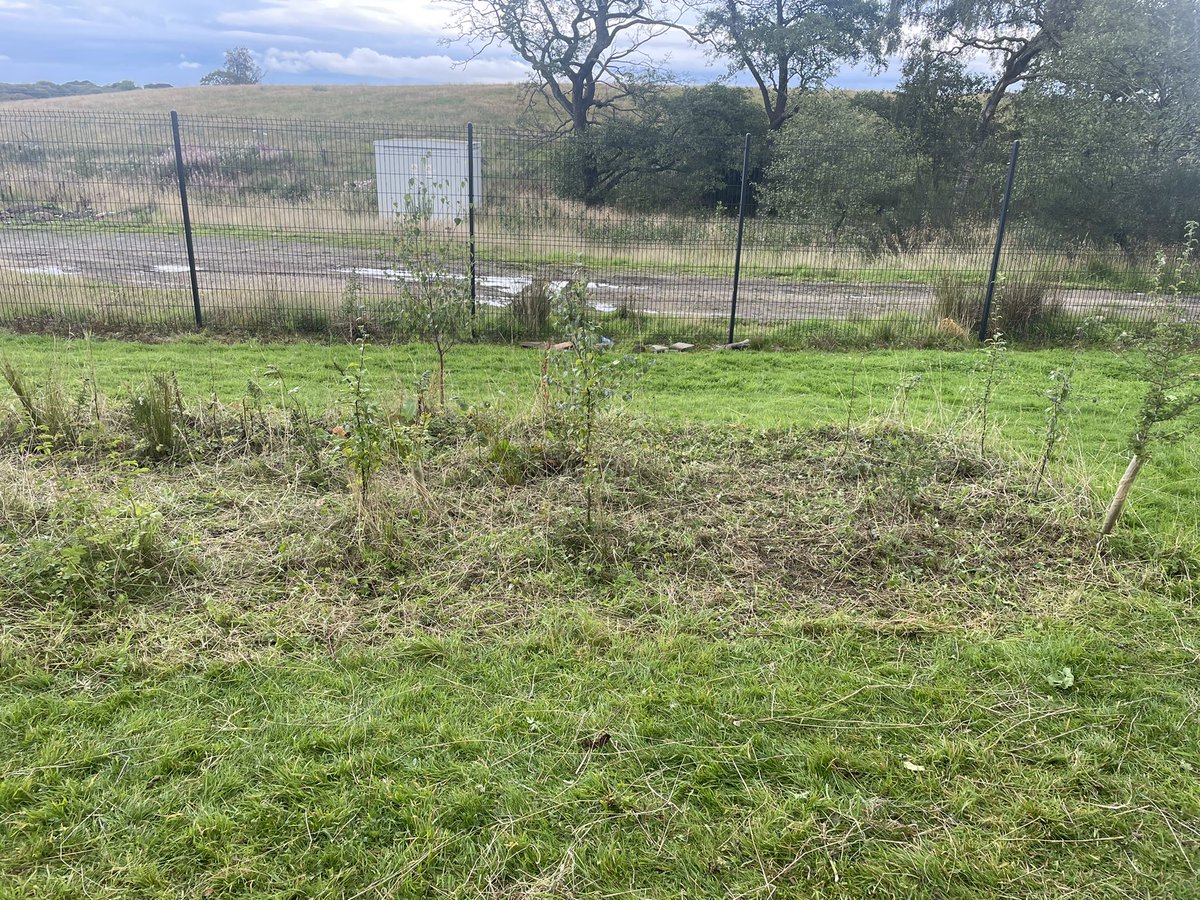 Week 2 at our project with <a href="/southdaleps/">Southdale Primary School and ELC</a>  and already we are reaping the rewards of our young peoples hard work. The pile of weeds almost as high as our young people! <a href="/ArmadaleAcademy/">Armadale Academy</a> #outdoorlearning #learningforsustainability