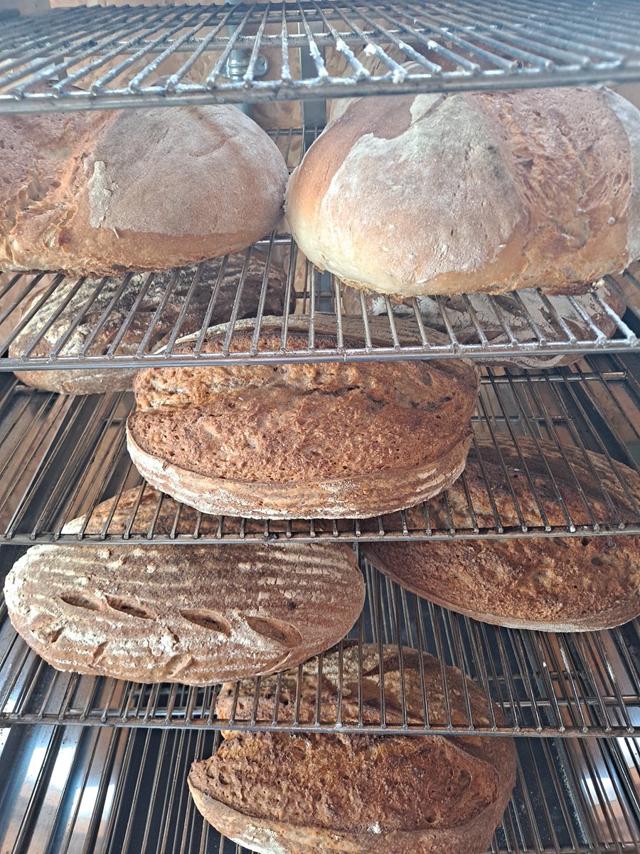 OMBExeter's tweet photo. Today subscriber beauties ๐
Sourdough and fresh yeasted organic stoneground white and rye flours with caraway seeds - all the taste but with a lighter loaf ๐๐
Baked in my microbakery and hand delivered by bike ๐ดโโ๏ธ
#microbakery #Exeter #InExeter #DevonFoodArmy #DevonFoodHour https://t.co/86UNBeBsYH
