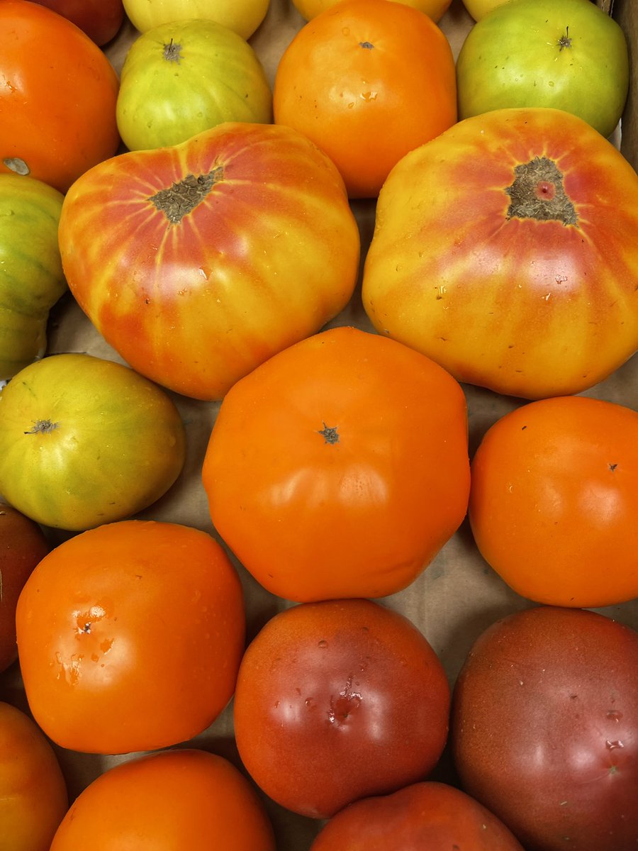 York Schools Nutrition tweet media