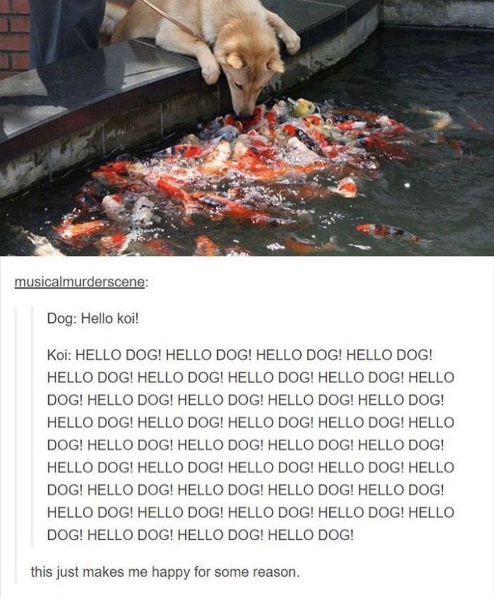 WholesomeMeme tweet picture