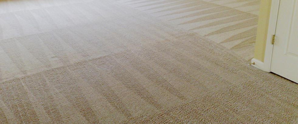 sw_commercial's tweet photo. SW Florida Commercial Cleaning 💥💥
Post Construction Cleaning
https://t.co/Cn7RO0HywD
GET A FREE QUOTE.........
#swfloridacommercialcleaning #swflorida #commercialcleaningsouthflorida #commercialcleaningcompany #commercialcleaningsouthflorida #commercialcleaning https://t.co/GByLnIiUxC