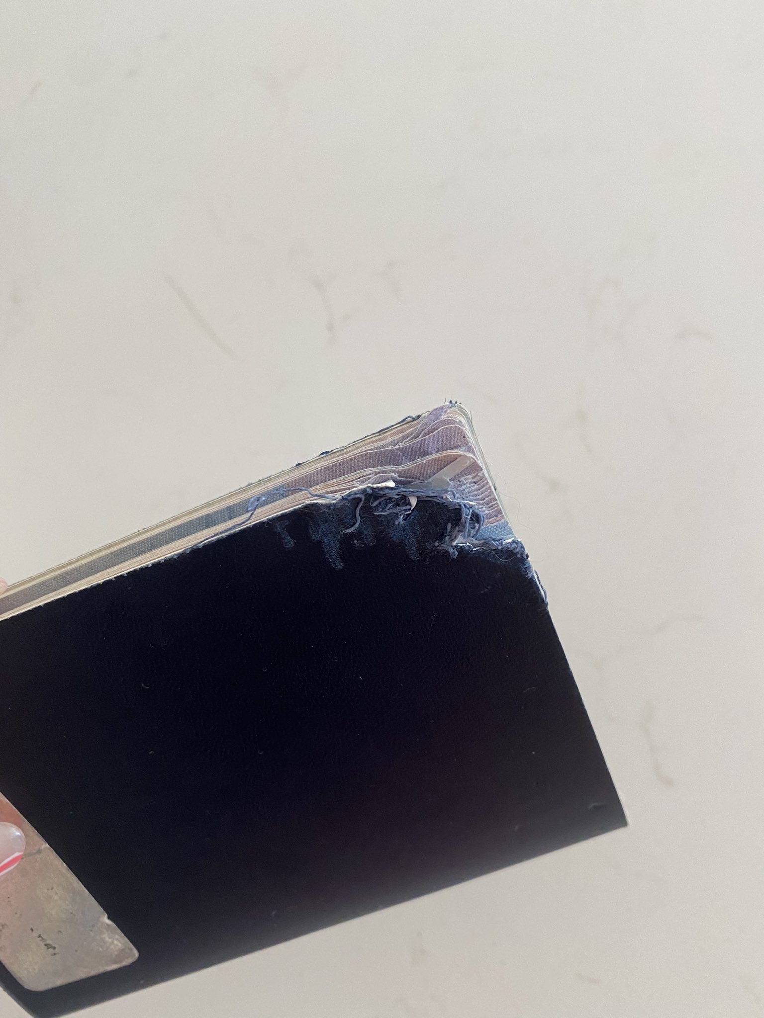 Sophie Dee on Twitter "Guys..my dog ate my passport 😫 is this ok for