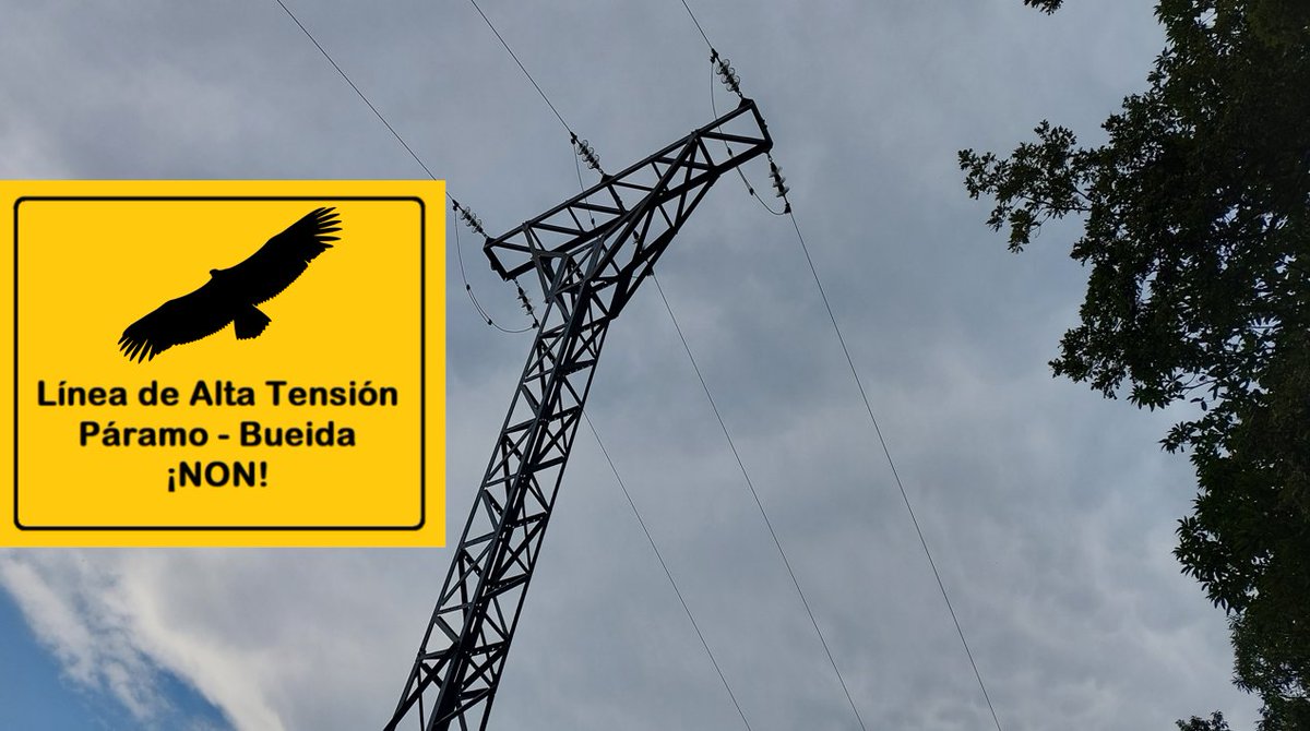 Suma y sigue la oposición al proyecto de alta tensión en #ParqueNaturalLasUbiñasLaMesa.
¡Gracias, amigos y amigas de 
<a href="/SEO_Asturias/">GRUPO LOCAL SEO/BirdLife Asturias</a>
 y @NicolasLopezSEO por apoyar el manifiesto (👉bit.ly/3TeIxDH)
<a href="/AdrianBarbon/">🌹 Adrián Barbón 💙💛</a>  <a href="/QuiqueSmra/">Enrique Fernández</a> @EnergiaEDP