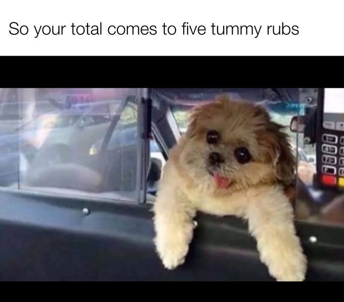 WholesomeMemes (@wholesomememe) on Twitter photo 