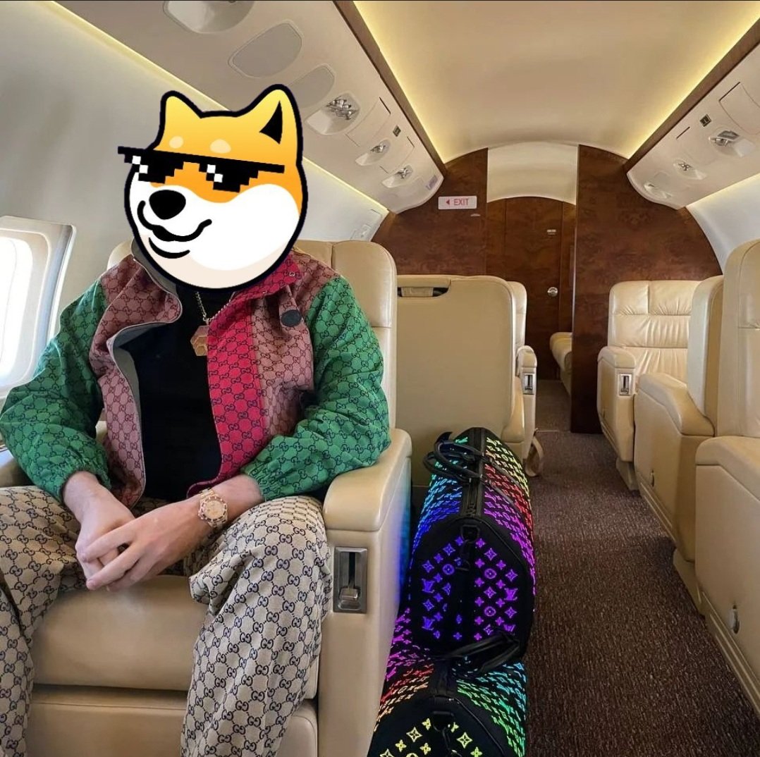 HexDogeCoin's tweet photo. @iambroots $HEXDOGE on #DogeChain. 10,000x will require delayed gratification. https://t.co/ZNbWS2In3h