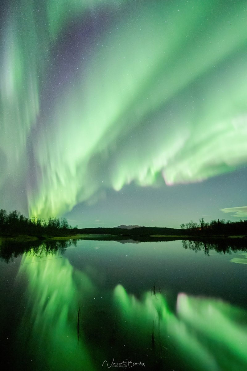 Vincent Beudez | Northern lights state of mind tweet media