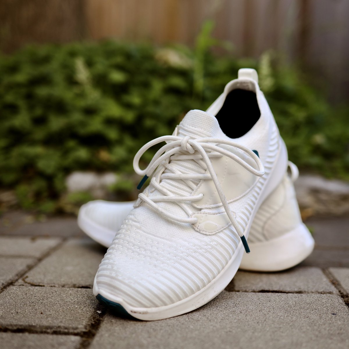 CanuckClay's tweet photo. RT for a chance to win a pair of 100% waterproof @VessiFootwear shoes.
For an additional entry:
-follow both me and @VessiFootwear
-quote tweet this tweet and tag a friend who is team #drysocks
Contest open to residents of 🇨🇦 and 🇺🇸; I’ll be drawing the winner this Sunday. https://t.co/F0JHQhmWRn