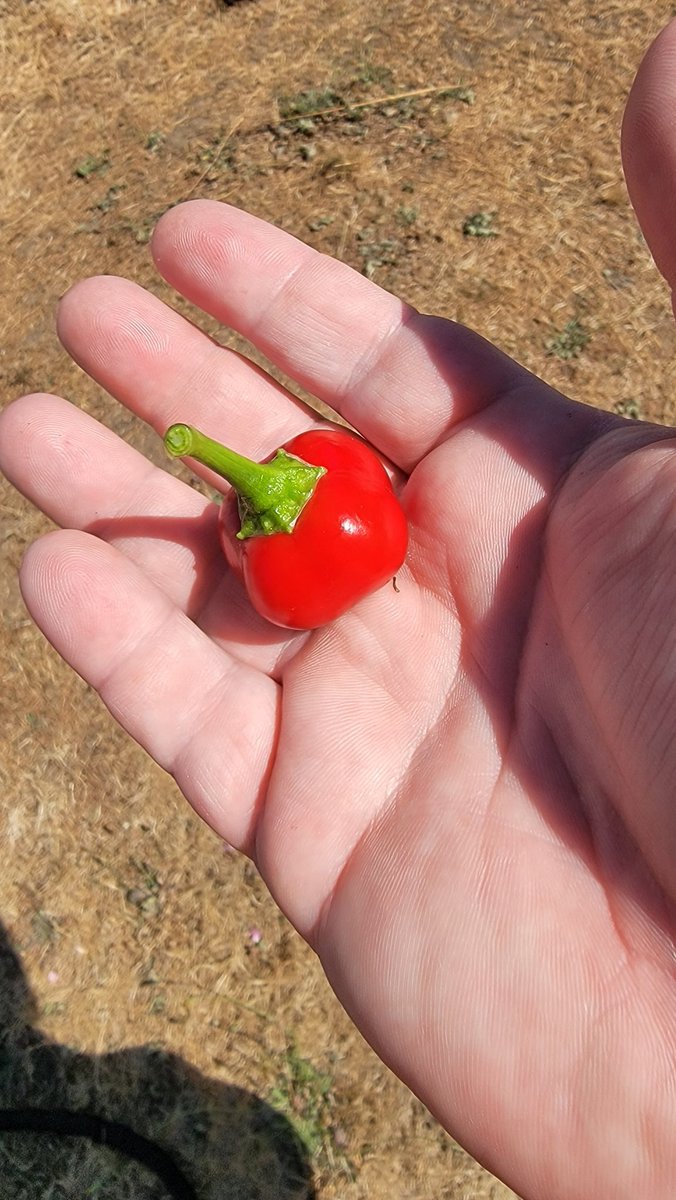 The fireballs have started.