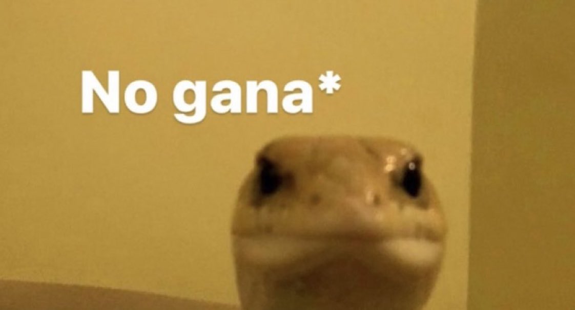 “el que no arriesga no gana”

yo: *me arriesgo*