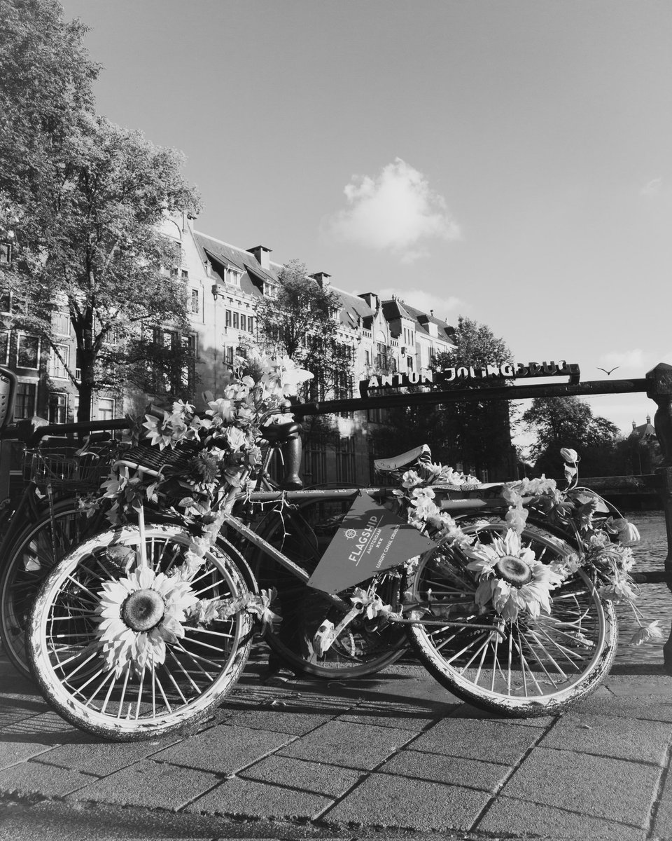 Lotussekai's tweet photo. Just pick a bicycle and go places !! That's it.
#travel #monochromephotography #streetphotography #art #europe #streetart #bicycle #bike #ride https://t.co/VTyTIMqoGo