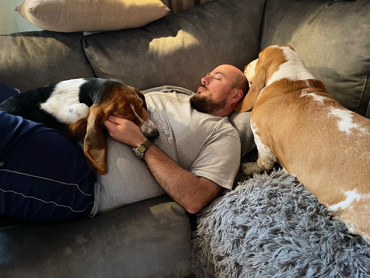 sirtibblesdog's tweet photo. Happy Birthday to our dad!! He is the very bestest playmate, protector, carrier, snuggler, friend, and pawrent that these two basset hounds could hope for! #WeLoveYouDad #NowLetMeLickYourHead #IsThereCake https://t.co/3VxP9glJ16