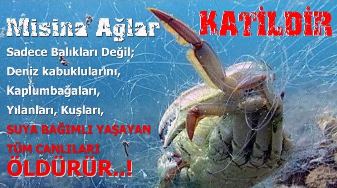 OLTACILARDER's tweet photo. #misinaağlarkatildir #ASOF
@VahitKirisci @ntv @FOXTurkiye @cnnturk @trt @trtcocuk @tv8 @halktvcomtr @startv @Ahaber @atvcomtr @cumhuriyetgzt @Sabah @Greenpeace_Med @AzizGwenSancar @yilmazsozcu  @tcbestepe @VahitKirisci @TBMMGenelKurulu @iyipartitbmm @MhpTbmmGrubu @AKPartiTBMMGrup https://t.co/xffk4so2R1