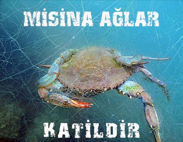 OLTACILARDER's tweet photo. #misinaağlarkatildir #ASOF
@VahitKirisci @ntv @FOXTurkiye @cnnturk @trt @trtcocuk @tv8 @halktvcomtr @startv @Ahaber @atvcomtr @cumhuriyetgzt @Sabah @Greenpeace_Med @AzizGwenSancar @yilmazsozcu  @tcbestepe @VahitKirisci @TBMMGenelKurulu @iyipartitbmm @MhpTbmmGrubu @AKPartiTBMMGrup https://t.co/xffk4so2R1