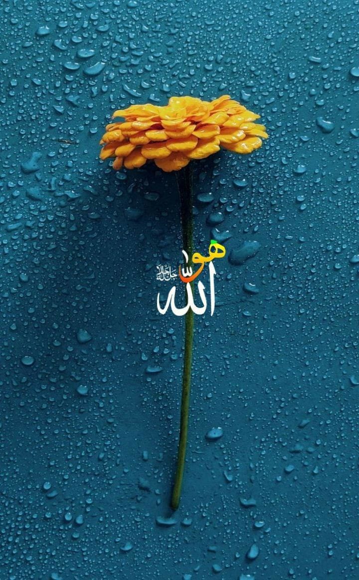 Wallpaper HD (@sokakbomonti) on Twitter photo 