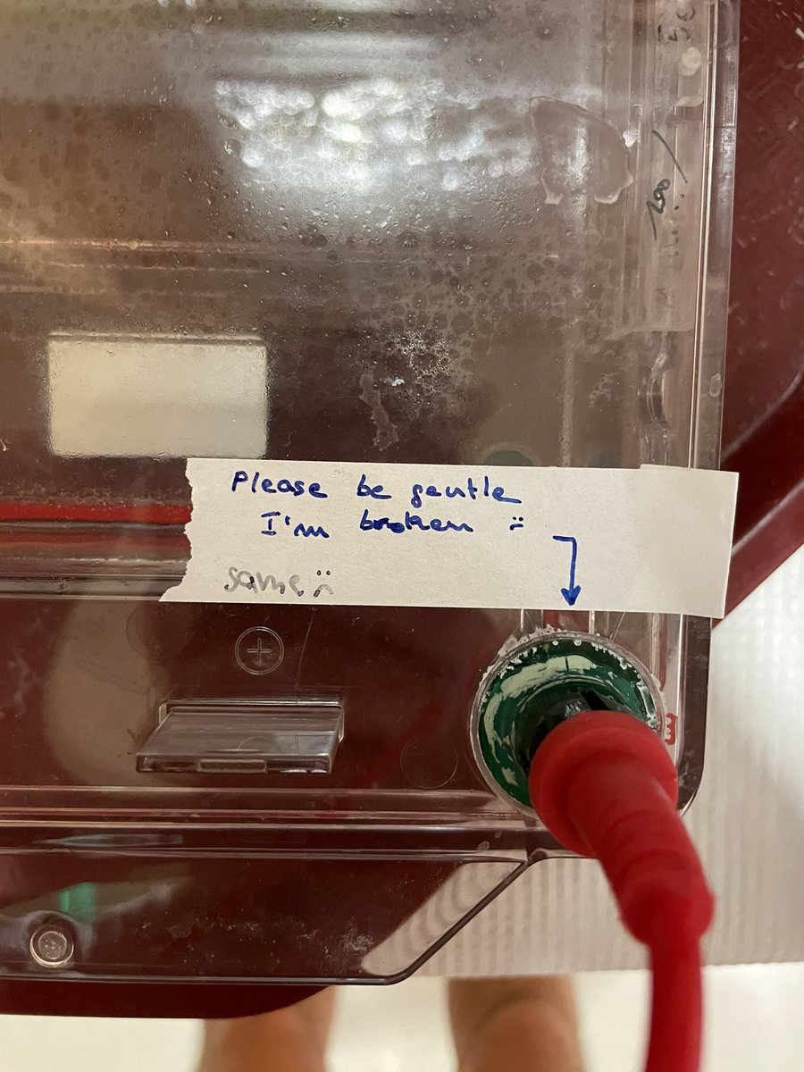 The Real Mullins Lab tweet media