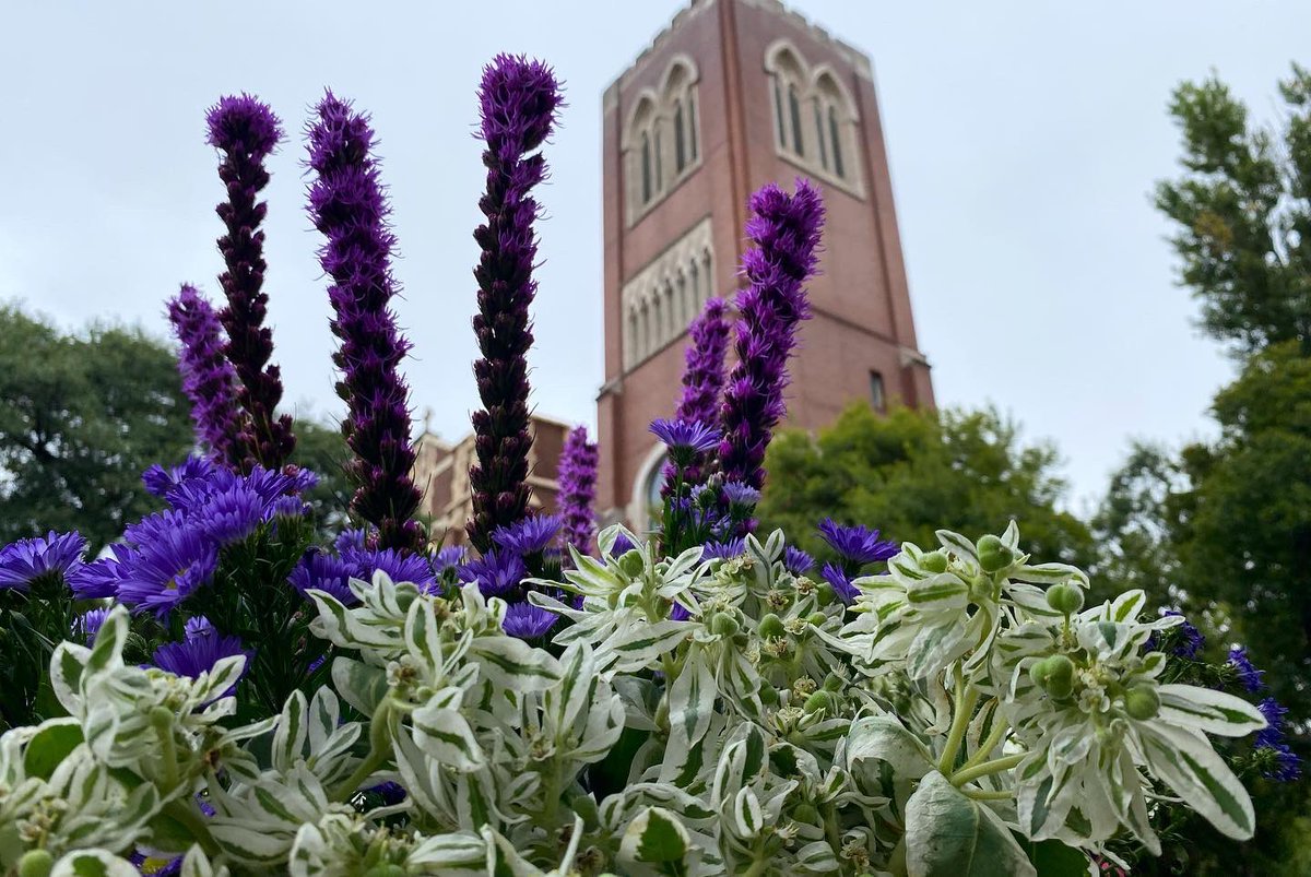 StLukes_Atlanta's tweet photo. Thank you to everyone who joined us this past Sunday for Jazz Mass and our parish potluck! It was a fantastic, rain-free day! You can watch the full service here: https://t.co/uie7S11AjW https://t.co/ACoXVWeuys