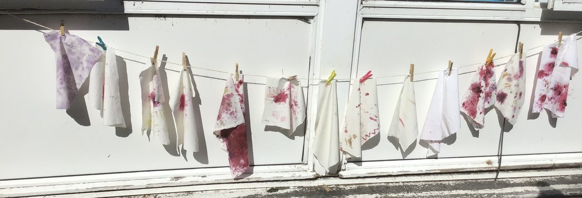 Kilmodan Primary tweet media