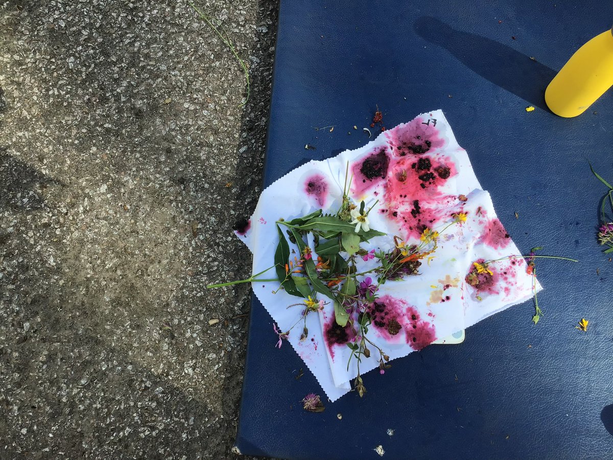 Kilmodan Primary tweet media