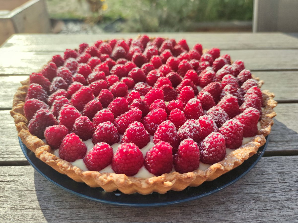 When your garden gives you too many raspberries, and your chickens too many eggs, you make raspberry pie ♥