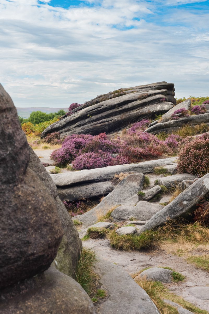 ImagineKaye's tweet image. #landscape #landscapephotography #photography #NaturePhotography #nature #peakdistrict #photographylovers #ThePhotoHour #EndOfSummer #photooftheday #nikonphotography #nikond810 #photos #naturelovers #NatureBeauty #Naturelover 
@UKNikon @AP_Magazine