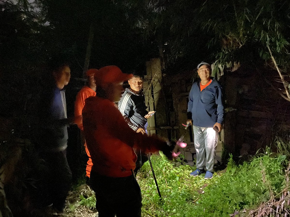 sangaykhandu's tweet photo. Searching for a sedated un-notched dog in the kitchen gardens of lower motithang. Back at the clinic, a female dog gets scanned to rule our pregnancy before sterilizing #NADPM #desuung #bhutan https://t.co/CtIE9fojQr