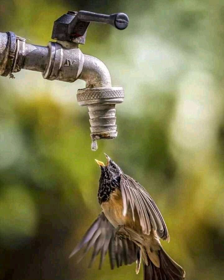 Denise Cooper tweet media