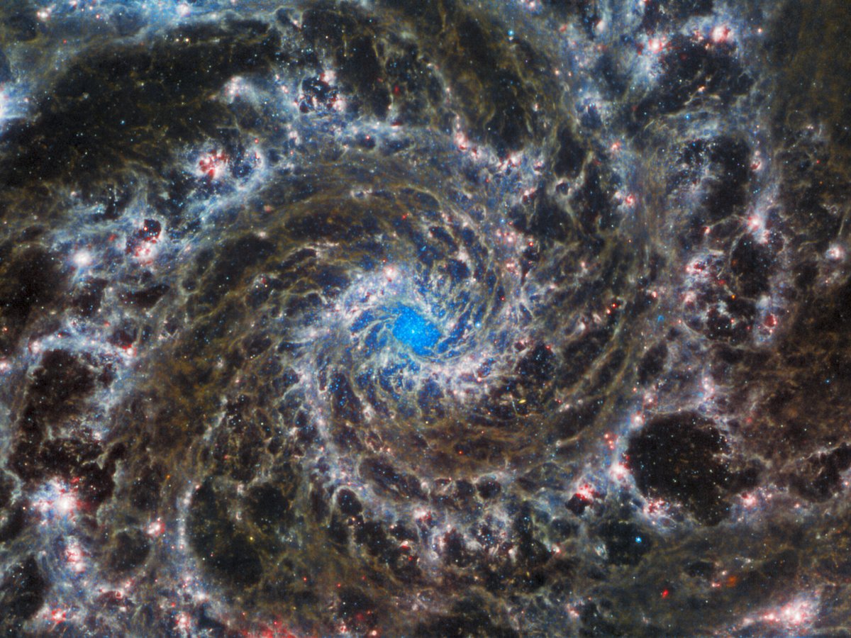 James Webb telescope just dropped its latest image, the Phantom Galaxy.

Home to 100 billion+ planets.