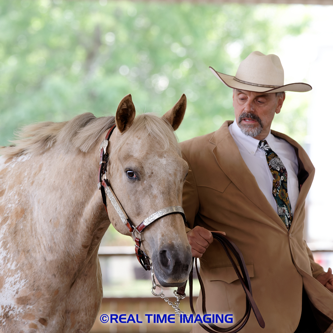 Appaloosa Horse Club UK National Show Proofs now available
conta.cc/3PV9B8p
conta.cc/3dWGaoY