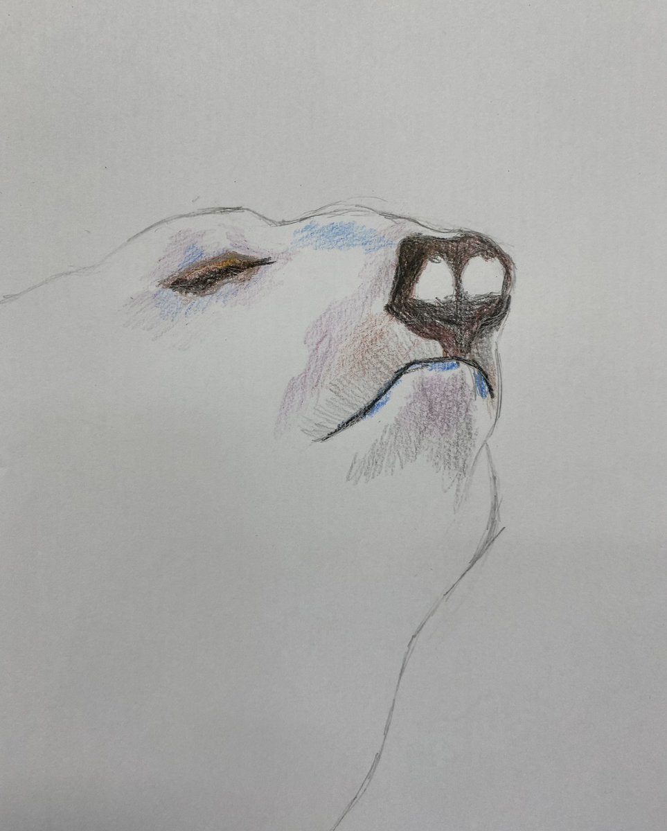 dept_art's tweet photo. 🎨Superb work from Class 4E this afternoon🎨#skillsdevelopment #drawingblock https://t.co/UA8oRQc6DB
