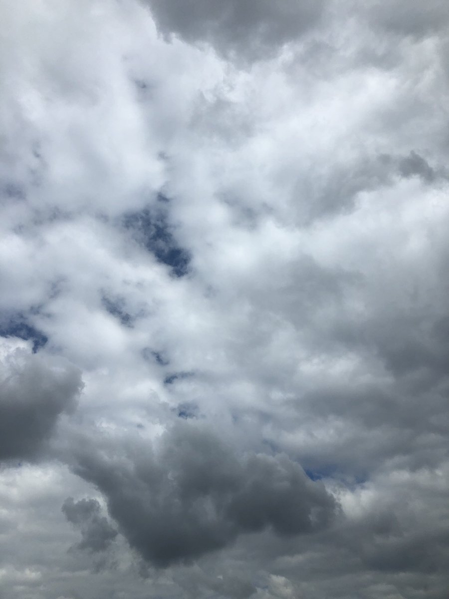 Tek kişilik gidiş bilet sadece tarihi belirlemek kaldı oda yakında netleşir.