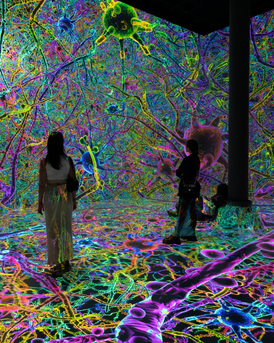 artechouse's tweet photo. The bright neon colors of #LifeofaNeuron reflect the intensifying experiences neurons handle during #adolescence. Have you experienced the entire journey of the #HeroNeuron yet? https://t.co/LrpUI9zU9p https://t.co/zqW8US5Ag1