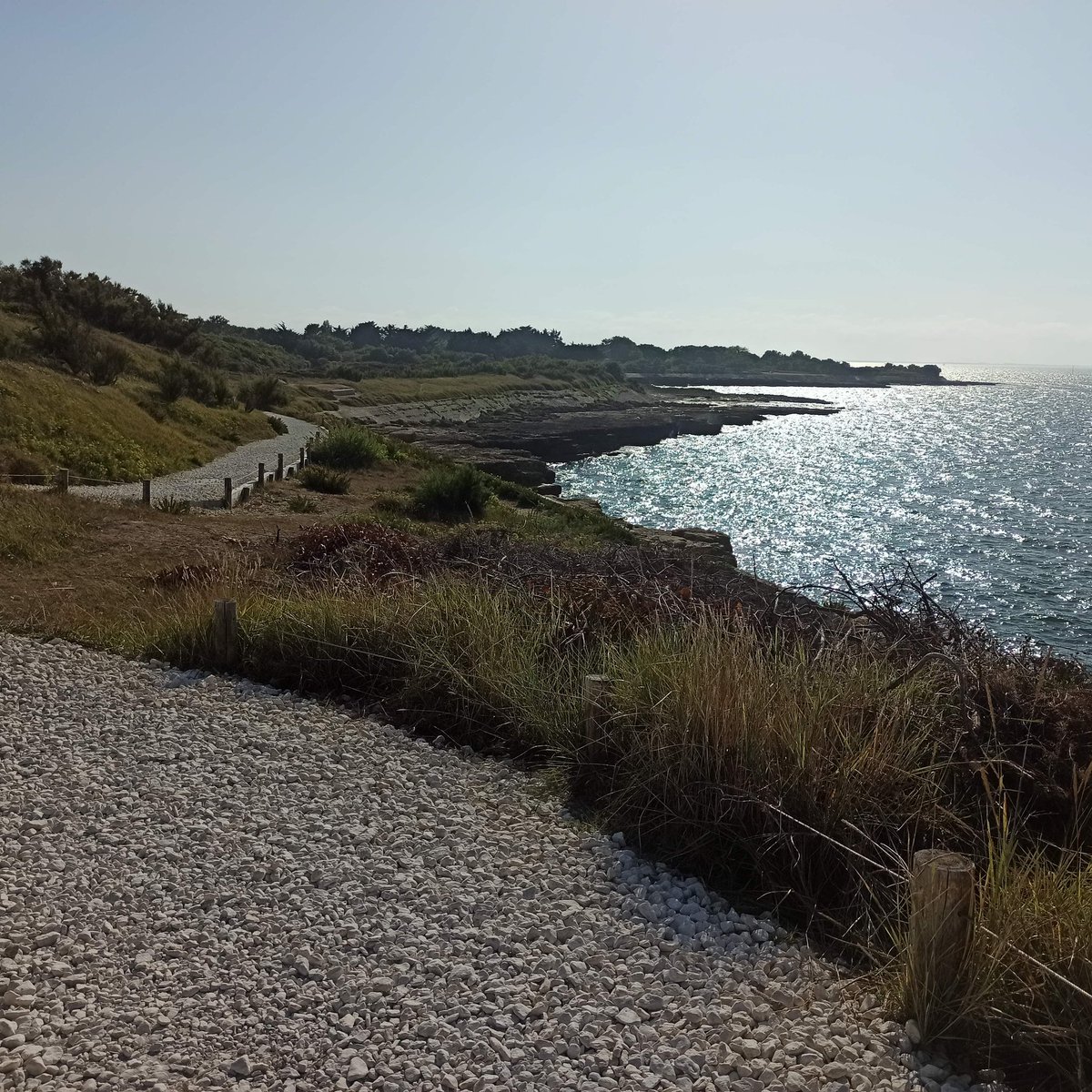 KfeCre's tweet photo. Petite balade sans mon Hector, c'est beau, c'est calme #ileDaix #flowVelo https://t.co/1x1CjDHwMu