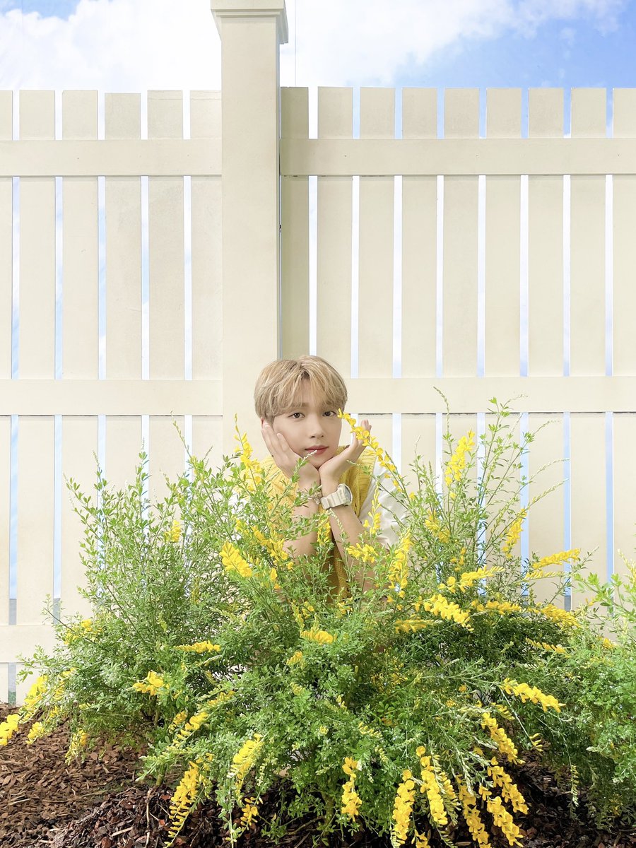 san36764189's tweet photo. 데뷔 5주년 축하해💜💛 항상 행복을 주고 좋은 노래를 들려줘서 고마워 사랑해🍀
#JEONGSEWOON_5th_Anniversary
#행운이_피어난_세운이의정원 https://t.co/y7Fyq9uS0L