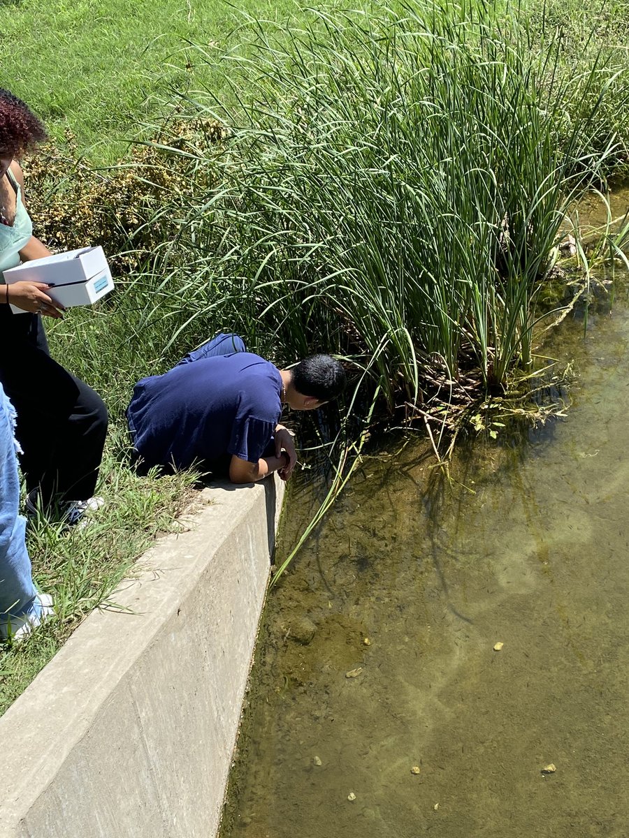 Testing for DO! <a href="/EMSISD/">EMS ISD</a> <a href="/saginawhstx/">Saginaw High School</a> <a href="/parisitp/">Theresa Parisi</a>