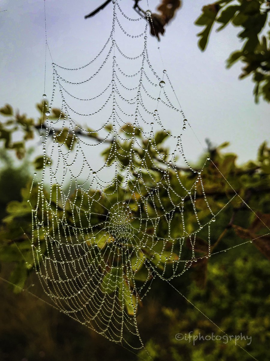 iphotogrphyIP's tweet photo. End of Summer #picoftheday #photography #photooftheday https://t.co/Or5trmFjFX