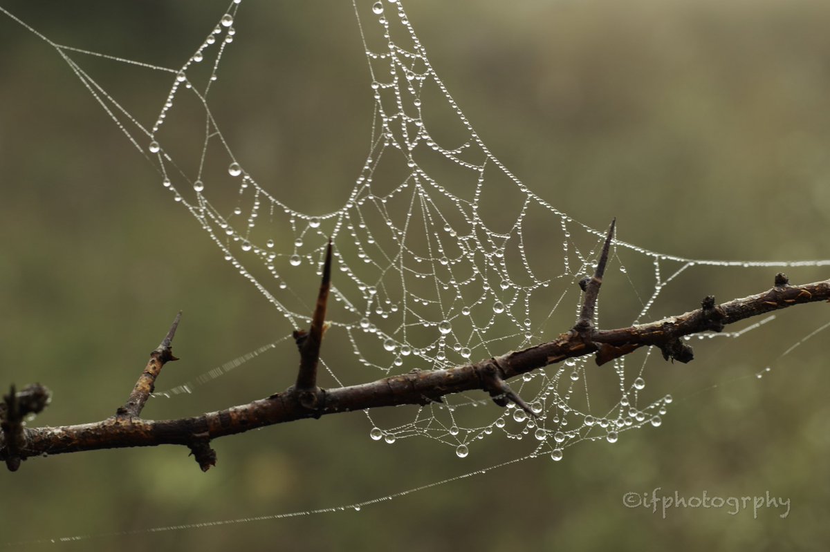 iphotogrphyIP's tweet photo. End of Summer #picoftheday #photography #photooftheday https://t.co/Or5trmFjFX
