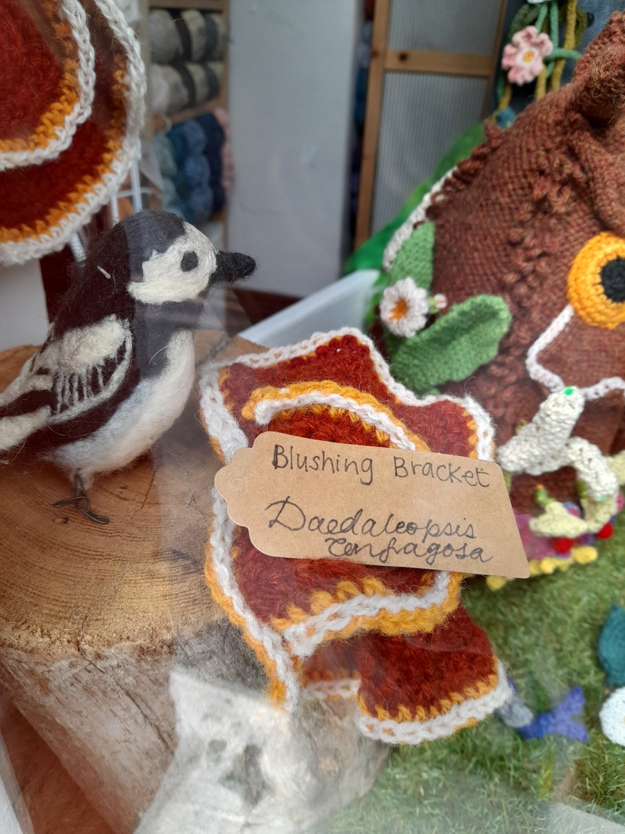 This amazing shop window is brimming with hand-knitted and felted fungi & plants incl.scarlet elf caps, stinkhorns, a lady's slipper orchid, nightshade...and the odd elf. Fabulous inside too, ethically produced yarns incl. some spun from nettles. @eweandply