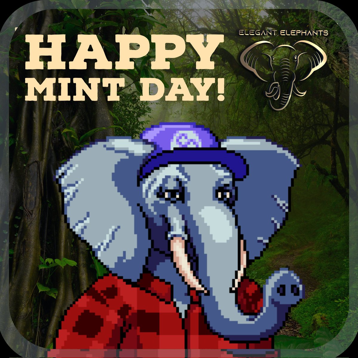 toddmars11's tweet photo. It's @ElegantHerd Pixel #NFTMint day! 

🐘 JOIN THE HERD TODAY 🐘
3 P.M. EST
750 EEP #NFTs
Mint Cost: 6 Matic

For info
Join Discord:
https://t.co/hThc9WfIYL

#NFTCollection #PolygonNFT #pixelart #NFTProject #NFTCommmunity #NFTdrops #nftdrop #Mint #EEP #NFT https://t.co/paZCabYwEa