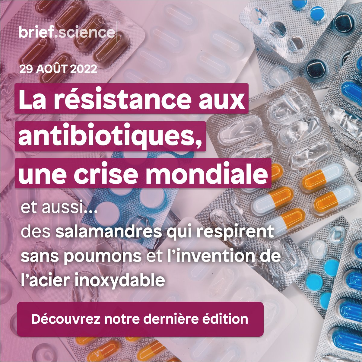 Dans Brief.science cette semaine, on vous explique pourquoi les antibiotiques perdent en efficacité, on vous étonne avec des salamandres sans poumons et on vous raconte l’invention de l’acier inoxydable.

🔗 Lisez notre dernière édition :
app.brief.science/edition/2022-0…