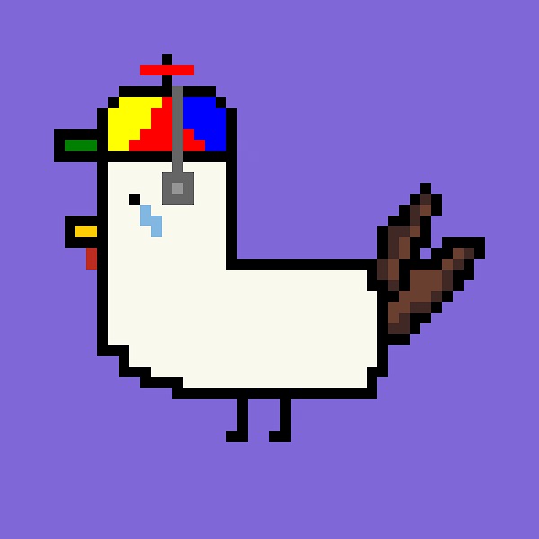 Chickens Who Code tweet media