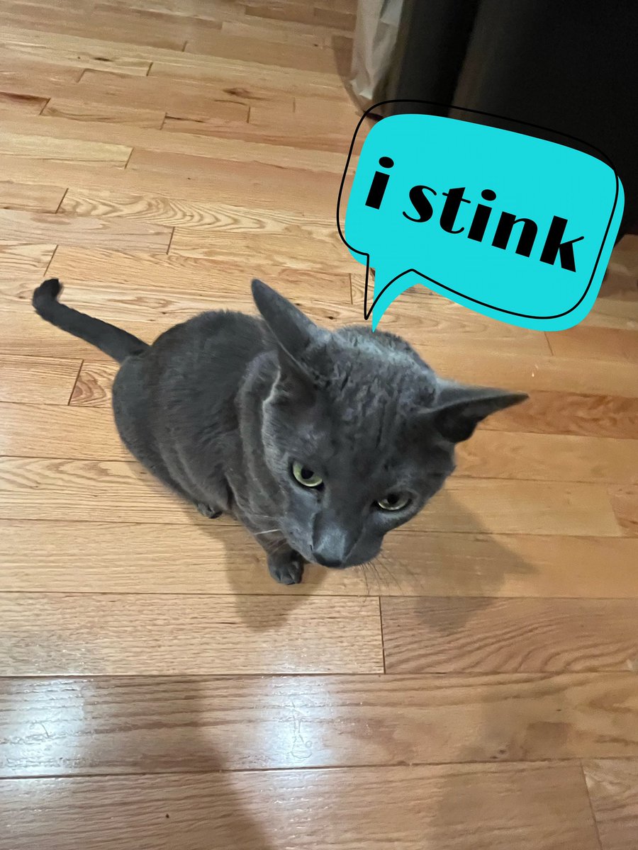 elis_stuff's tweet image. 