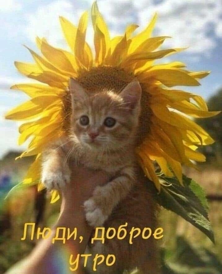 Друзья, с добрым утром!!! Счастья, здоровья, мирного неба над головой Вам!!!