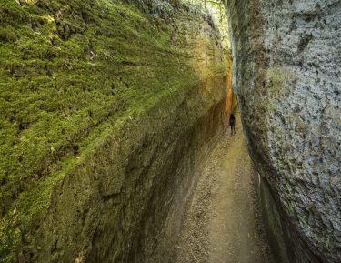 Pitigliano terra per MTB in strada e fra le Vie Cave
.
.
.
#mtb
#bike
#cicloturismo 
#Pitigliano 
#maremma