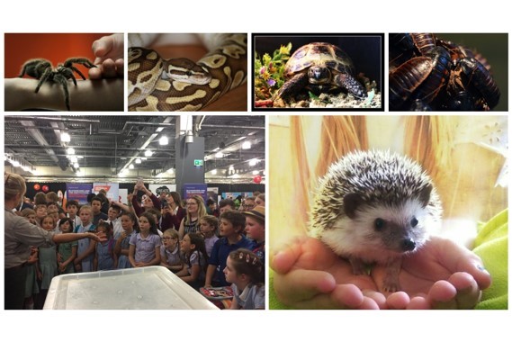 magsanimals's tweet photo. Looking to start the new term off with a flying start, why not invite our animals into school to explore #rainforest #minibeast #adaptations #classification #evolution and many more #STEMtopics Practical, hands on learning, discovering nature in your classroom. #STEM #Science https://t.co/UeAVPTglCV