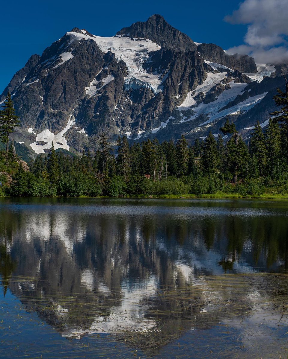 Ian Kennedy tweet media