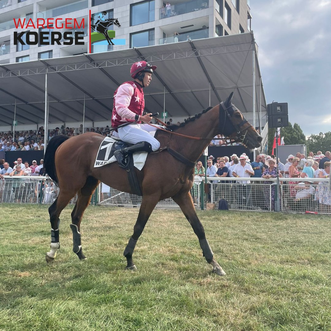 waregem_koerse's tweet photo. De prijs Rallye Waregem gaat dit jaar naar Gard Feel met op de rug A. Renard van eigenaar J.-Y. Hodé. 😁🥳 Schitterende overwinning! 👏

#waregemkoerse2022 #waregemkoerse175jaar #WK175 #waregem #hippodroom #paardensport #paardenrennen #waregemkoerse @Itho Daalderop Belgium https://t.co/YHd6aivw7o
